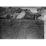 Site: Giza; View: G 2370