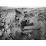 Site: Giza; View: G 4000