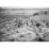 Site: Giza; View: G 7143, G 7144