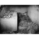 Site: Giza; View: G 7000 X